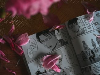 Manga für Erwachsene – Bände und Guide